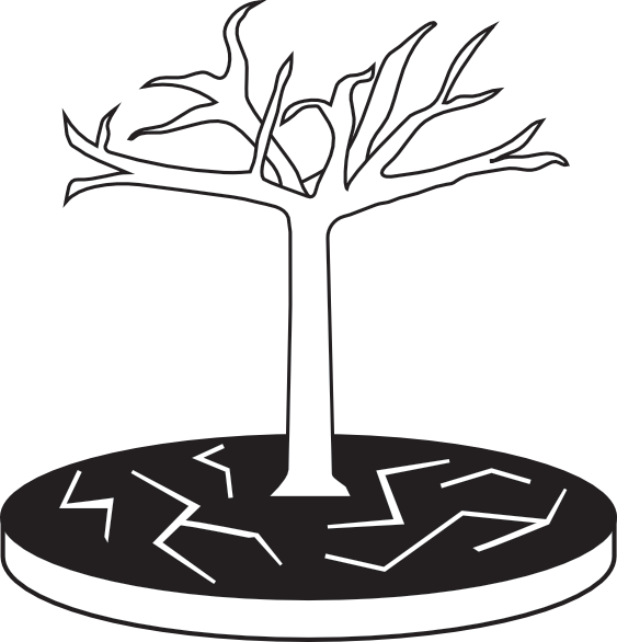 a leave-less tree on top of cracked barren soil