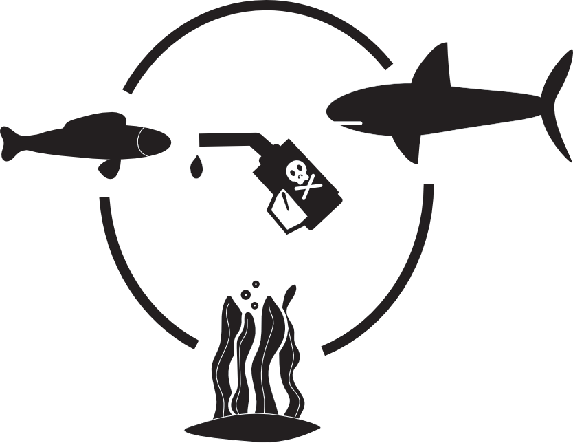A gasoline nozzle is dripping gas in the center with a skull marked on its side. It is surrounded by a circle where there is a fish, shark, and kelp bed.