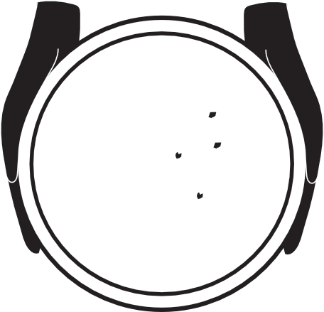 two hands holding an empty plate with four crumbs